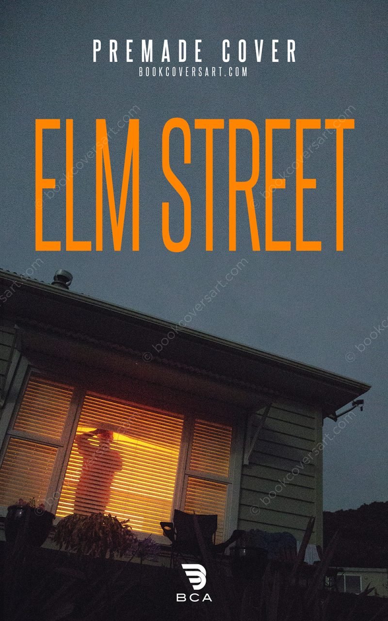 Domestic Thriller Cover for sale showing a silhouette behind illuminated blinds in a dark suburban house