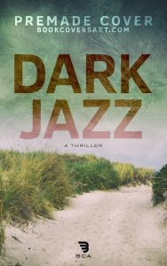 Dune Path Mystery Cover for sale showing an empty sandy path through tall grass beneath a muted sky