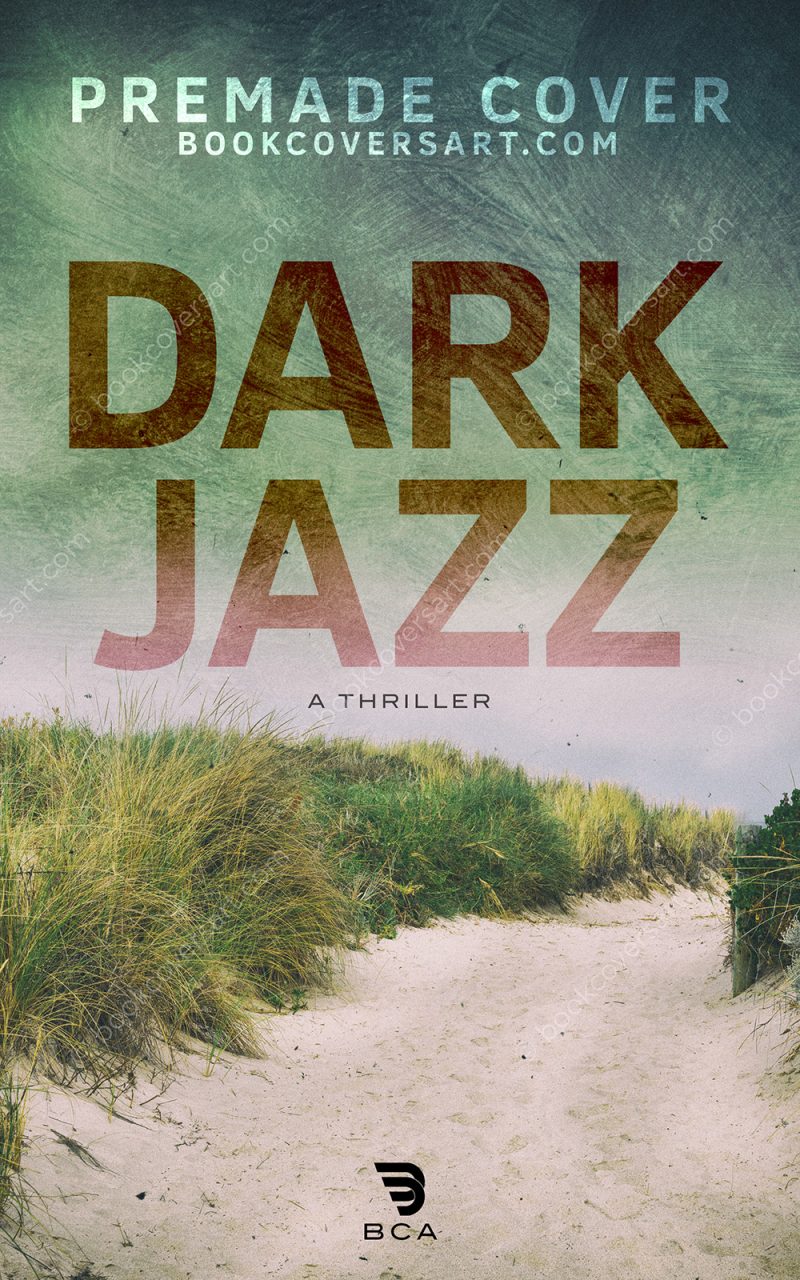 Dune Path Mystery Cover for sale showing an empty sandy path through tall grass beneath a muted sky
